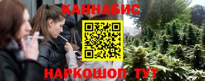 сатива Нальчик
