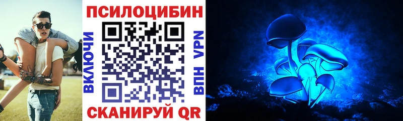 Псилоцибиновые грибы мицелий  Выкса 