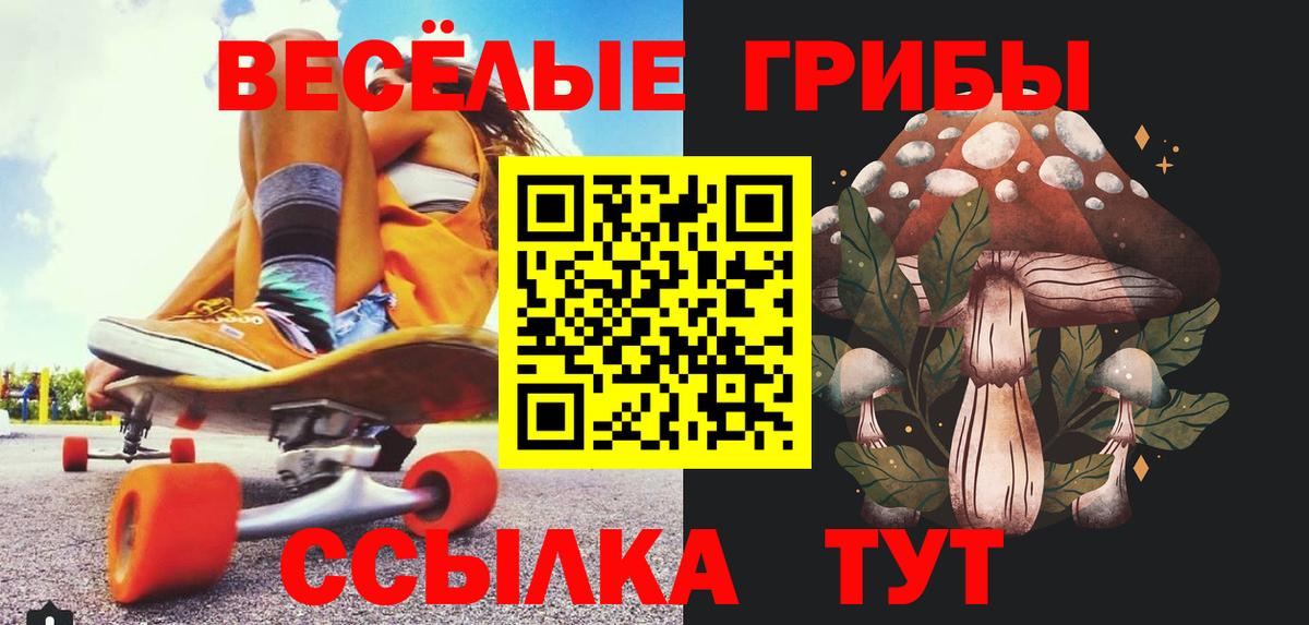 Галлюциногенные грибы GOLDEN TEACHER  Вход с VPN  Выкса 